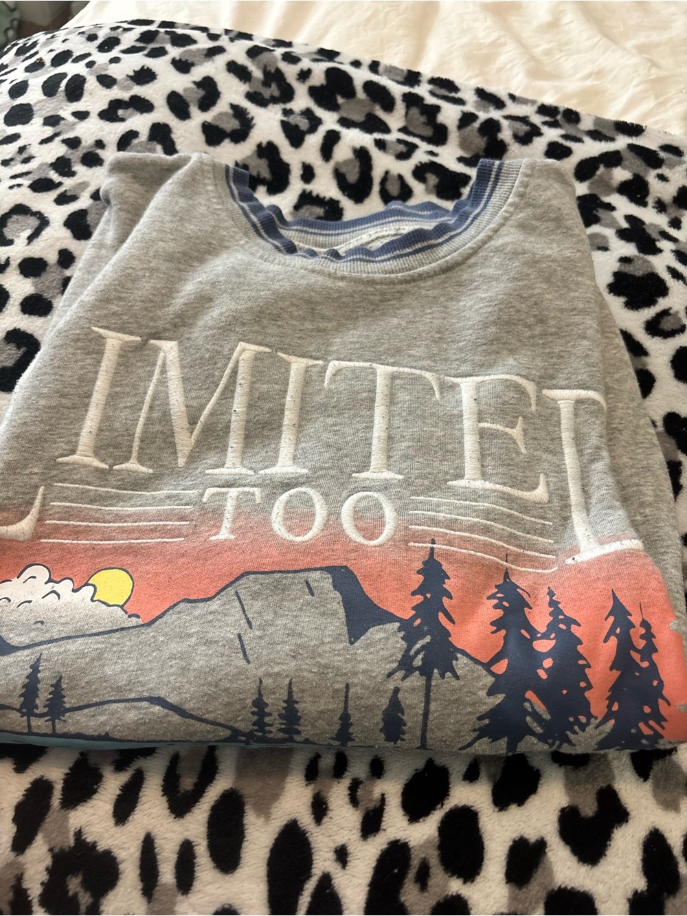 Limited too sweater